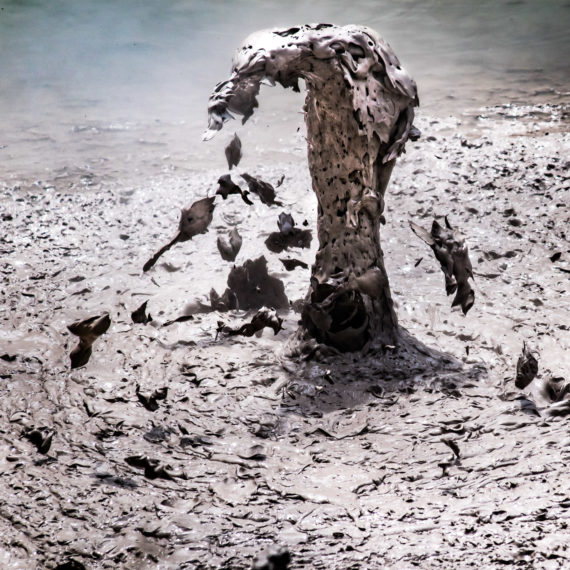 Art United | Pam Vincent Photography | Rotorua Geothermal 'Mud Cobra'