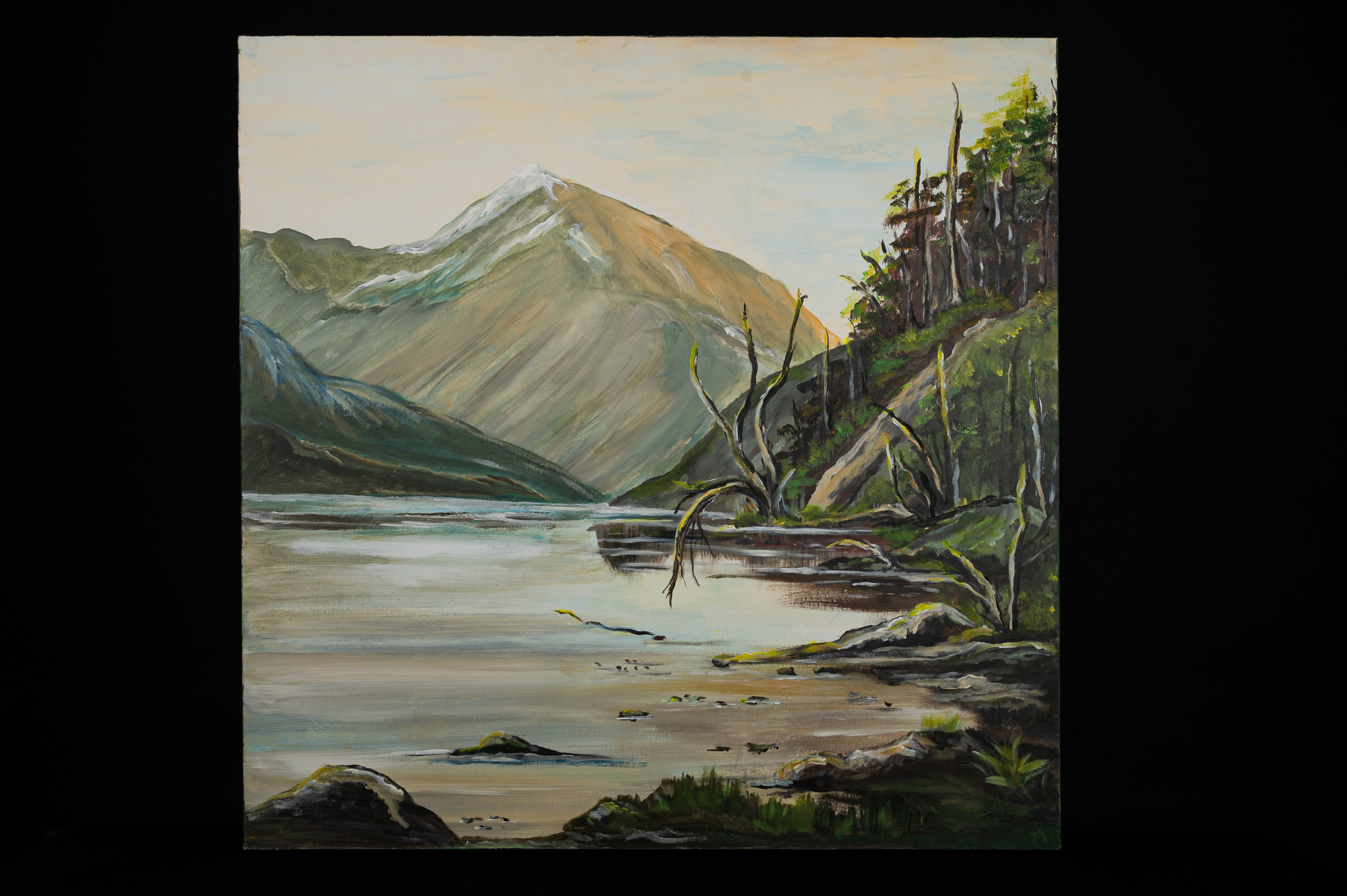 Marlene Beizlle Art United Rotorua Painter Scene From The Ureweras