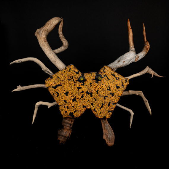 Pat Mcgrath Art United Rotorua Driftwood Artist Crab