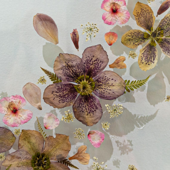 Lynell Barnett Art United Rotorua Pressed Flower Artist Creation5 Closeup