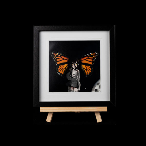 Makaila Maye Robinson Manga Artist Digital Art United Rotorua Closeup Monarch Butterfly